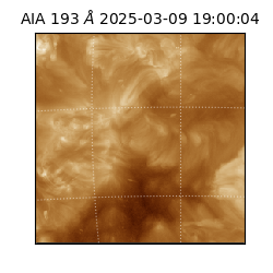 saia - 2025-03-09T19:00:04.843000