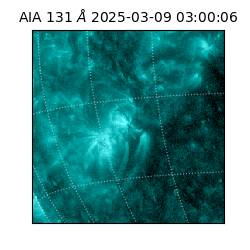 saia - 2025-03-09T03:00:06.625000