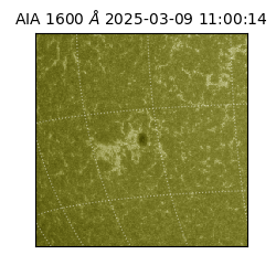 saia - 2025-03-09T11:00:14.118000