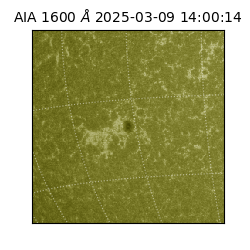 saia - 2025-03-09T14:00:14.126000