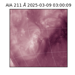 saia - 2025-03-09T03:00:09.629000