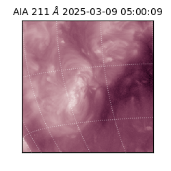 saia - 2025-03-09T05:00:09.632000