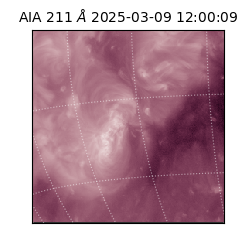 saia - 2025-03-09T12:00:09.632000