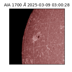 saia - 2025-03-09T03:00:28.718000