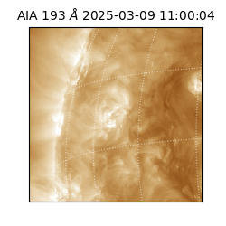 saia - 2025-03-09T11:00:04.835000