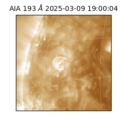 saia - 2025-03-09T19:00:04.843000