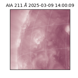 saia - 2025-03-09T14:00:09.630000