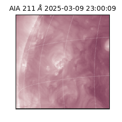 saia - 2025-03-09T23:00:09.629000