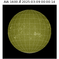 saia - 2025-03-09T00:00:14.129000