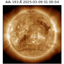 saia - 2025-03-09T01:00:04.843000