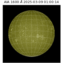 saia - 2025-03-09T01:00:14.126000