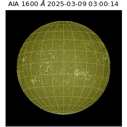 saia - 2025-03-09T03:00:14.126000