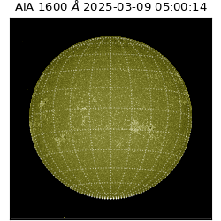 saia - 2025-03-09T05:00:14.125000