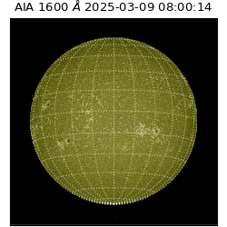 saia - 2025-03-09T08:00:14.125000