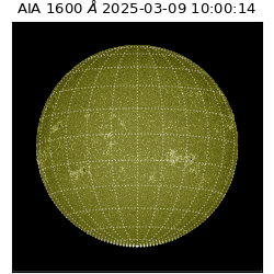 saia - 2025-03-09T10:00:14.125000