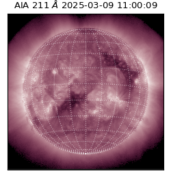 saia - 2025-03-09T11:00:09.622000