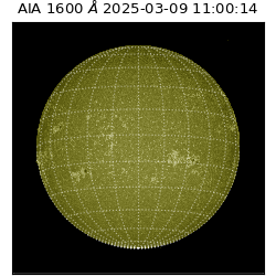 saia - 2025-03-09T11:00:14.118000