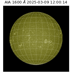 saia - 2025-03-09T12:00:14.126000