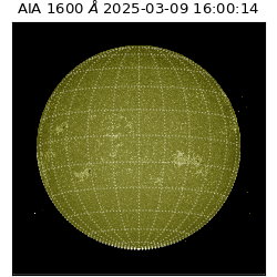 saia - 2025-03-09T16:00:14.124000