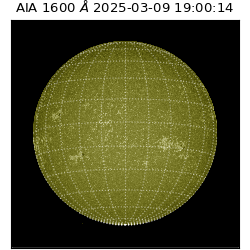 saia - 2025-03-09T19:00:14.126000