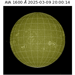 saia - 2025-03-09T20:00:14.129000
