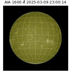 saia - 2025-03-09T23:00:14.126000