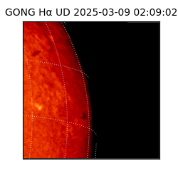 gong - 2025-03-09T02:09:02