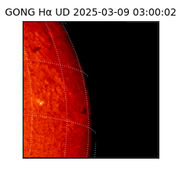 gong - 2025-03-09T03:00:02