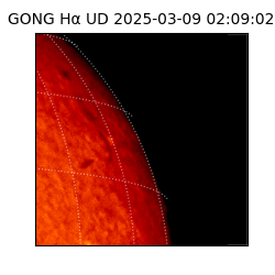 gong - 2025-03-09T02:09:02