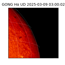 gong - 2025-03-09T03:00:02