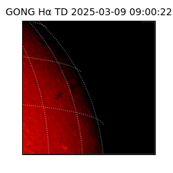 gong - 2025-03-09T09:00:22