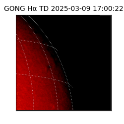 gong - 2025-03-09T17:00:22