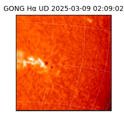 gong - 2025-03-09T02:09:02