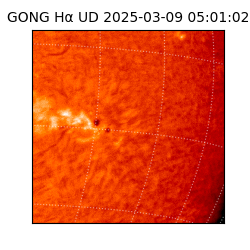 gong - 2025-03-09T05:01:02