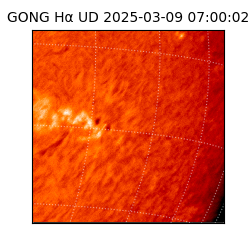 gong - 2025-03-09T07:00:02