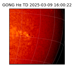 gong - 2025-03-09T16:00:22