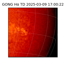 gong - 2025-03-09T17:00:22