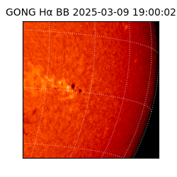 gong - 2025-03-09T19:00:02