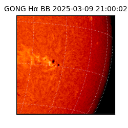 gong - 2025-03-09T21:00:02