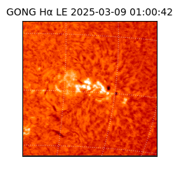 gong - 2025-03-09T01:00:42