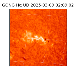 gong - 2025-03-09T02:09:02