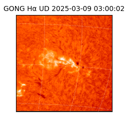 gong - 2025-03-09T03:00:02