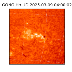 gong - 2025-03-09T04:00:02