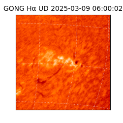 gong - 2025-03-09T06:00:02