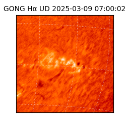 gong - 2025-03-09T07:00:02