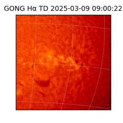 gong - 2025-03-09T09:00:22