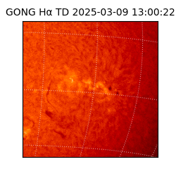gong - 2025-03-09T13:00:22