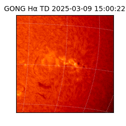 gong - 2025-03-09T15:00:22