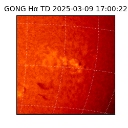 gong - 2025-03-09T17:00:22