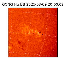 gong - 2025-03-09T20:00:02